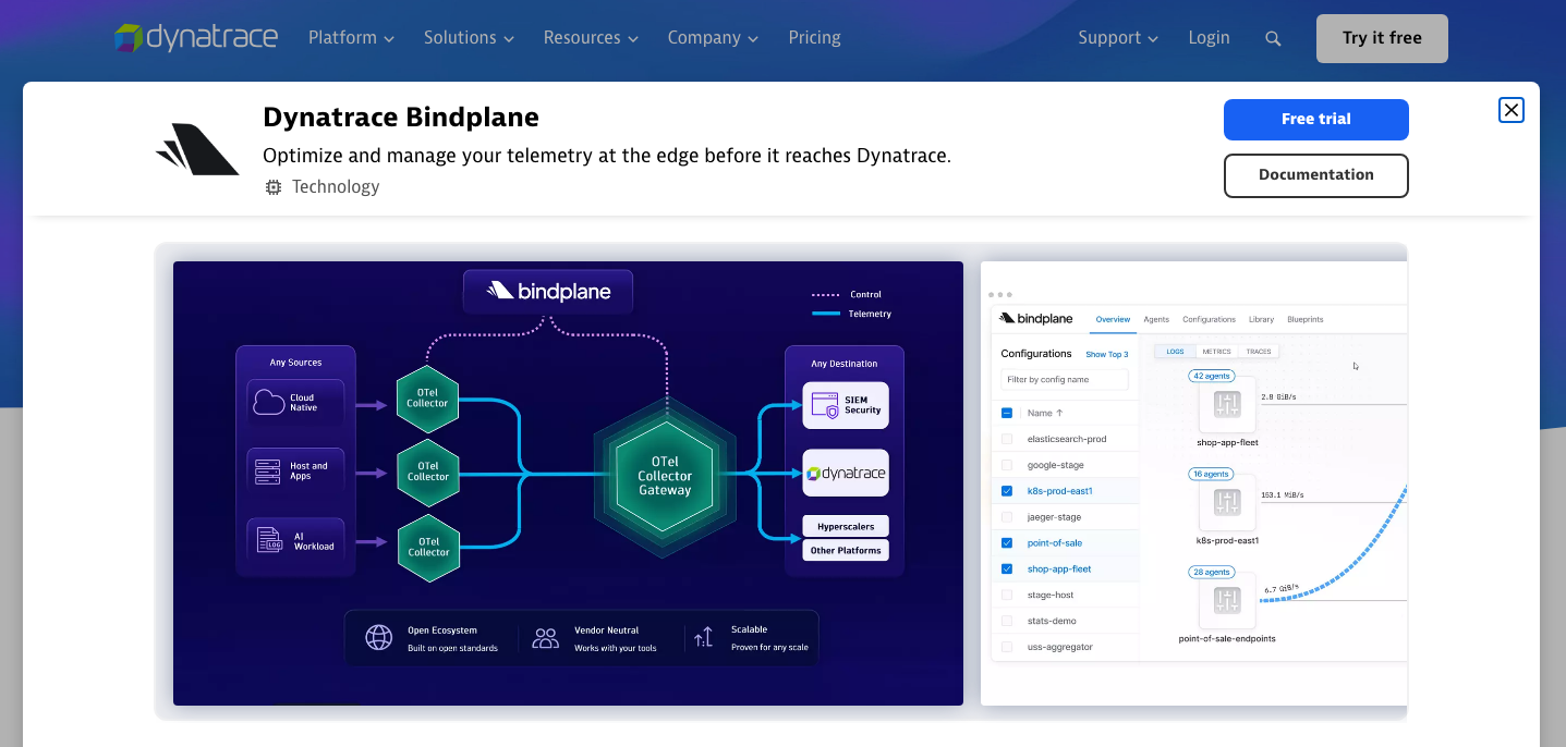 Bindplane visibility in the Dynatrace catalog